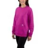 'Carhartt' Women's Force® Lightweight Sweatshirt - Magenta Agate 1 'Carhartt' Women's Force® Lightweight Sweatshirt - Magenta Agate -Outfit Shop 105468 P37 WS23 b 1 1024x1024@2x