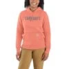 'Carhartt' Women's Relaxed Fit Midweight Graphic Hoodie - Hibiscus -Outfit Shop 105639 P19 WS22 b 1 1024x1024@2x