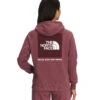 'The North Face' Women's Box NSE Pullover Hoodie - Wild Ginger / TNF White -Outfit Shop NF0A7UON 86L hero 1024x1024@2x